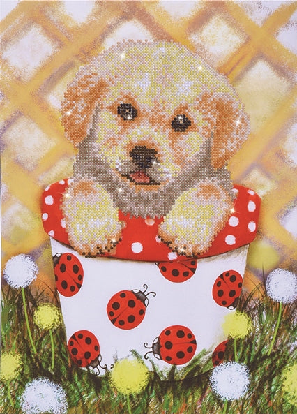 Pup in Pot (DD7.013)