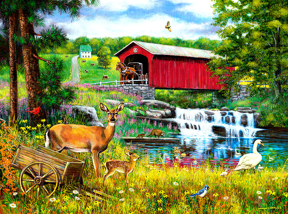 SunsOut Crossing the Falls (SUN37235)