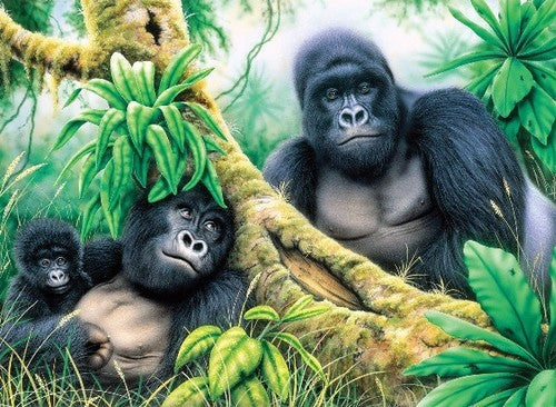 Mountain Gorillas Paint by Number Age 8+ (11.25"x15.375") (RAL37374)