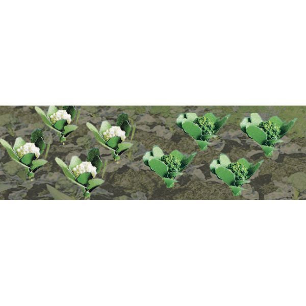 JTT Scenery Products  Broccoli & Cauliflowers 3/8" TALL, HO SCALE, 20/PK (JTT95529)