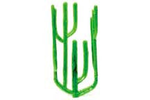 PLASTRUCT SUG-25, Econo Cactus, 1 1/4" (6) (PLS94251)