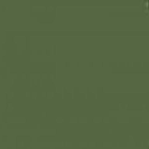 Mission Models Russian Dark Olive 2 FS 34096  (MIOMMP029)