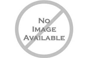 RedCat Racing Bead Lock Ring,   (RDCBS810-028B